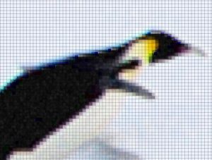 penguin-lowResolução e escalas de cores
